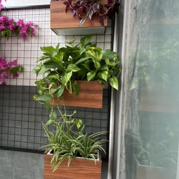 Chậu composite vân gỗ