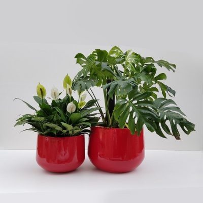 Chau composite Vinh Loc