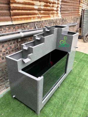 Bể tiểu cảnh composite