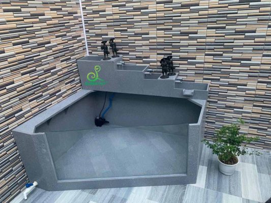 Bể tiểu cảnh composite