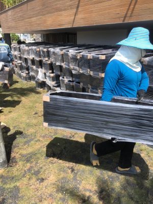 Chậu Hàng rào composite