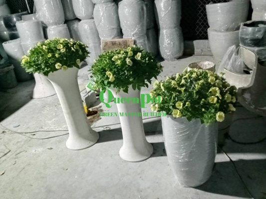 Chau xi mang nhe Queenpot