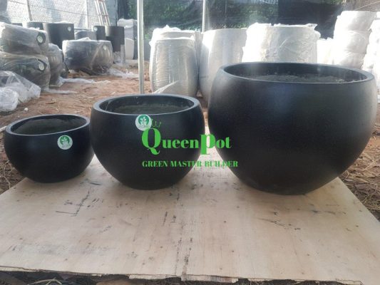 chau xi mang nhe queenpot