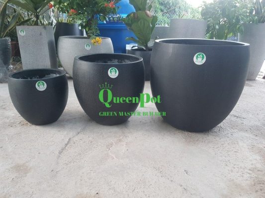 Chau xi mang nhe queenpot