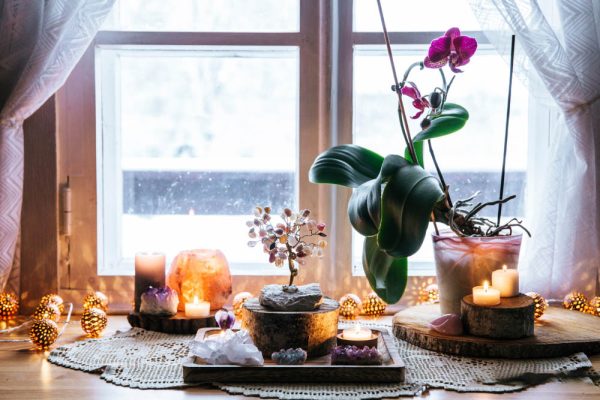 Những cách trang trí chậu cảnh văn phòng đẹp