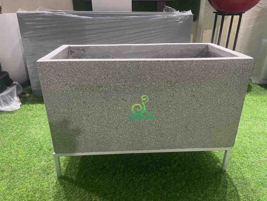 chau xi mang nhe da mai chu nhat