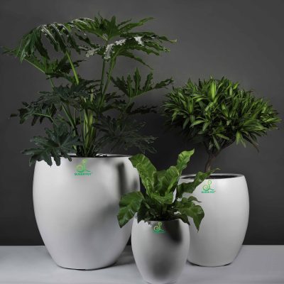 Chậu Composite Thân Thiện Với Môi Trường