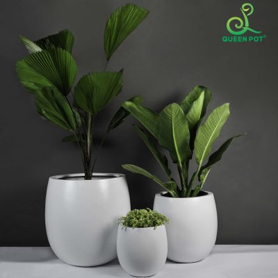 Chậu Composite Nhẹ và Dễ Di Chuyển