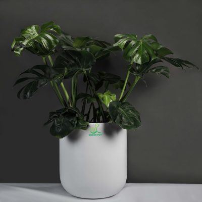 Chậu Composite Có Độ Bền Vượt Trội
